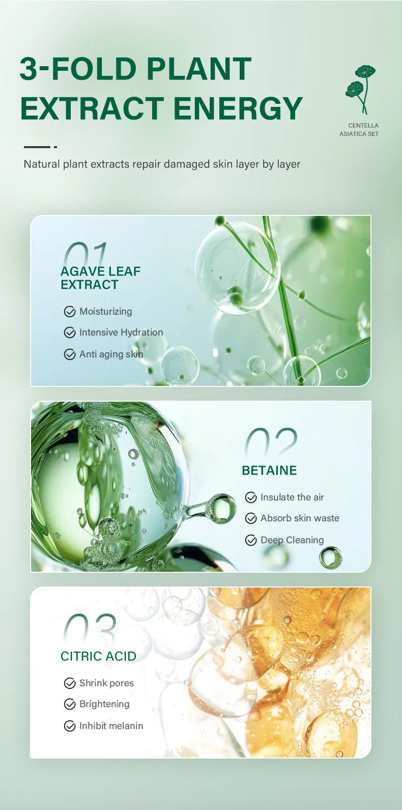 Kit de Cuidado Facial Reparador con Centella – Alivio para el Acné